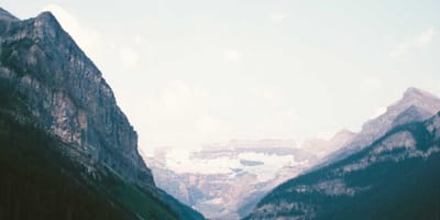 What My Automated Archive Exposed About My Writing