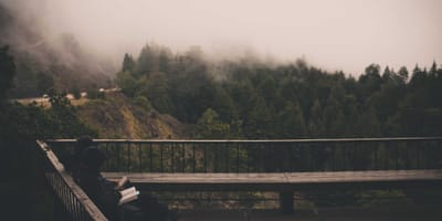 The Hour I Lost to a Plausible AI Debugging Answer